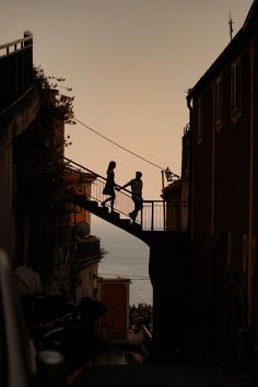 La scelta del partner avviene in maniera casuale?